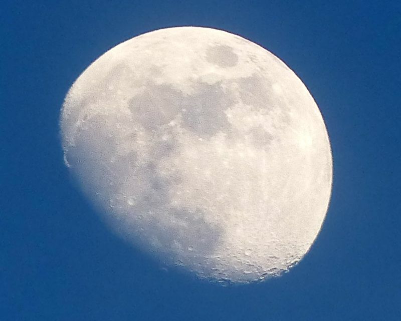 Click to See Next Image